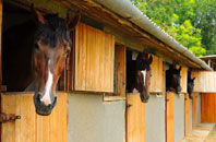 free Carnedd stable construction quotes